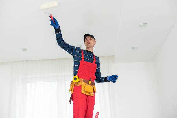 Best Drywall Sanding and Smoothing  in Mattituck, NY